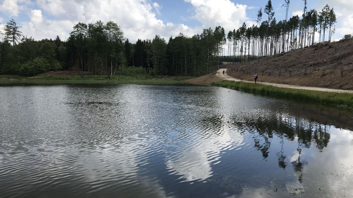 Chráněné mokřady na jihu Moravy znovu ožijí. Díky evropským penězům